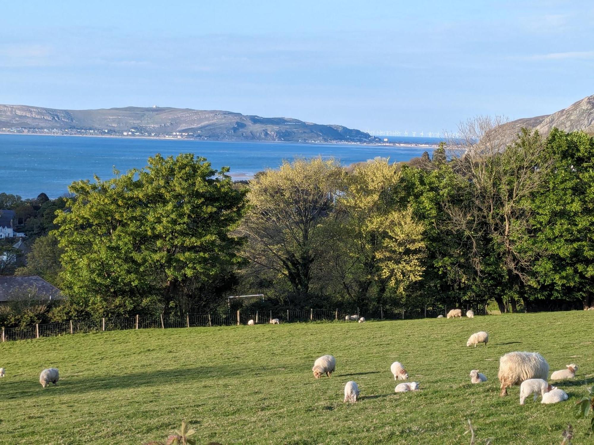 Fantastic Sea Views At Century'S Old Alma'S Cottage - Sleeps Up To 8 Guests Penmaen-mawr Exterior foto